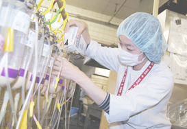経管栄養